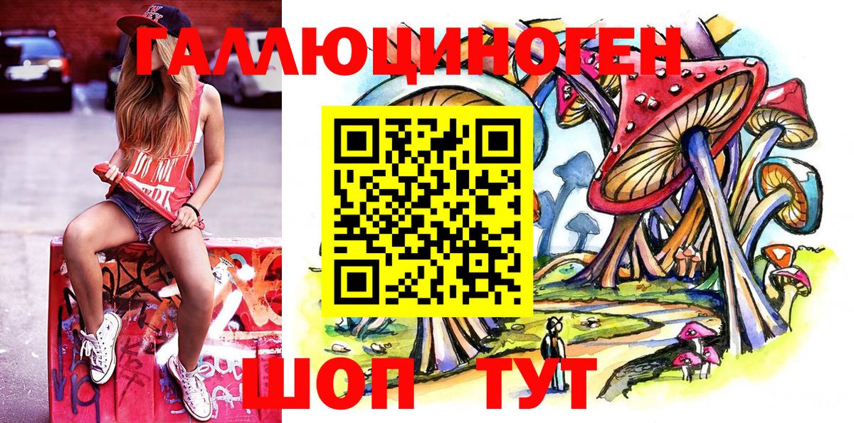 Жуковский  Псилоцибиновые грибы GOLDEN TEACHER  Вход с VPN  Галлюциногенные грибы GOLDEN TEACHER 