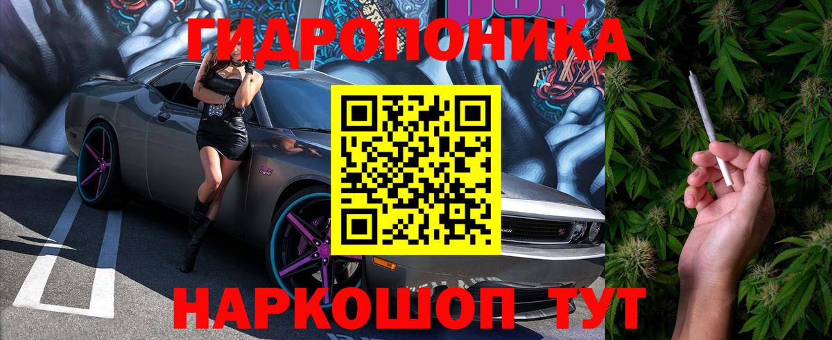 Жуковский  Шишки марихуана марихуана  Вход с VPN  Конопля Amnesia 